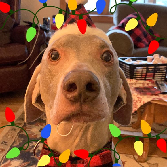 Meet your Posher, Alison - Picture 1 of 1